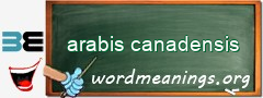 WordMeaning blackboard for arabis canadensis